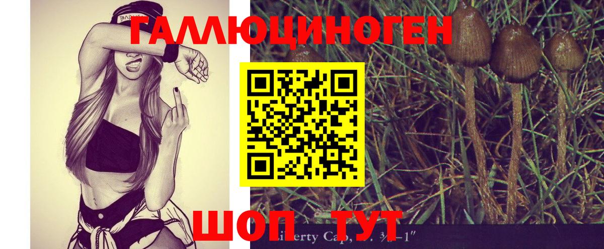 Псилоцибиновые грибы GOLDEN TEACHER  Вход с VPN  купить наркоту  Краснокаменск 